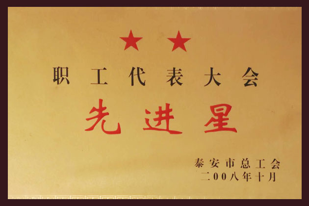 职工代表大会先进星