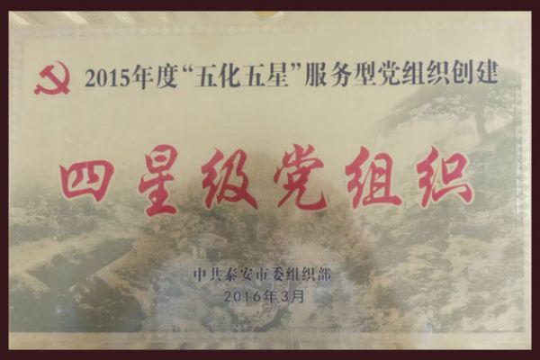 四星级党组织