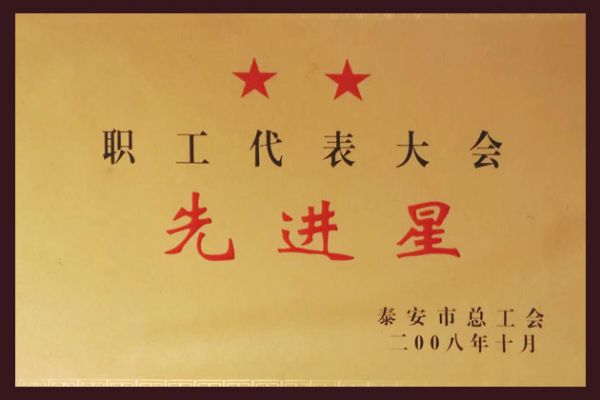 职工代表大会先进星