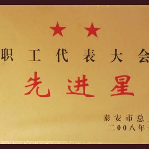 职工代表大会先进星