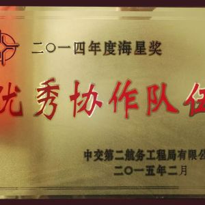 2014年度海星奖协作队伍