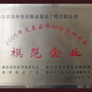2005年度示范企业